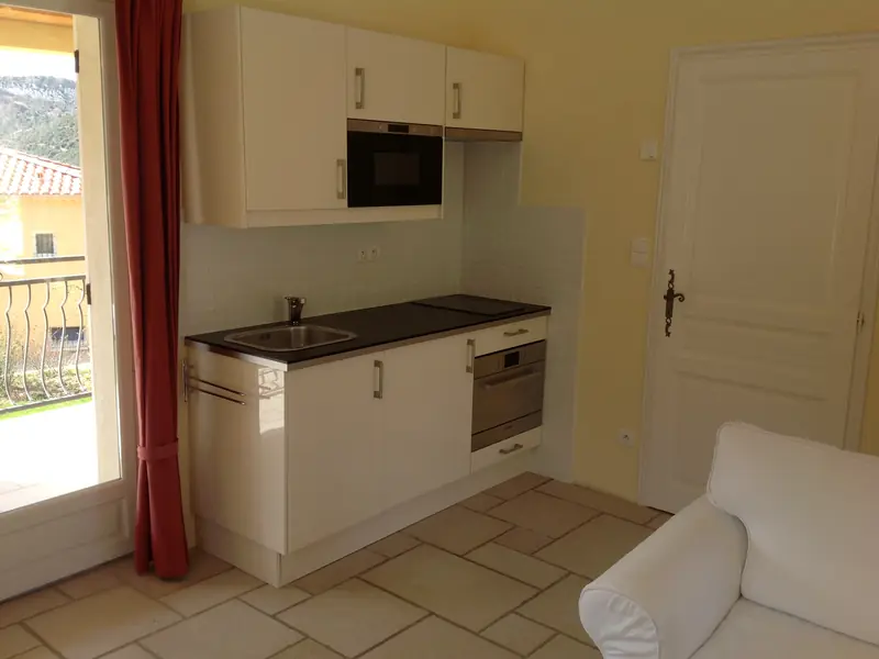 De keukenhoek met oven, inductieplaat, spoelbak en witte kastjes