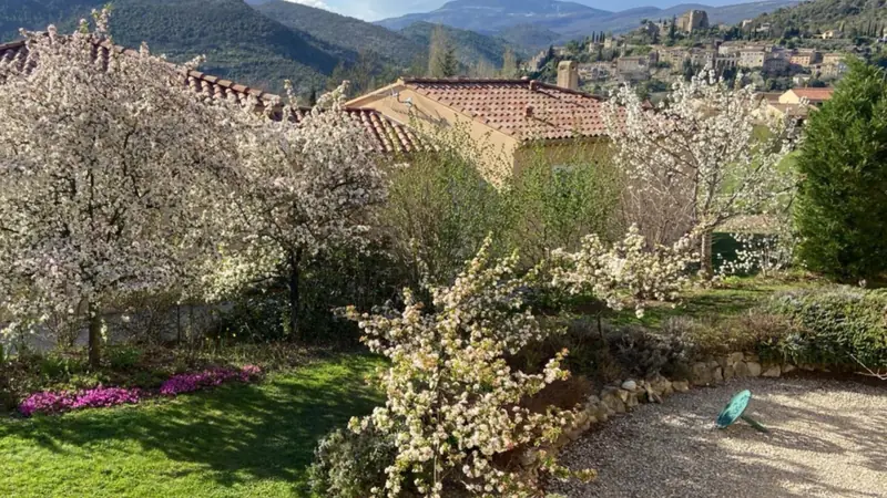 De tuin in het voorjaar vol bloesem, met Montbrun-les-Bains en zijn kasteel in de verte